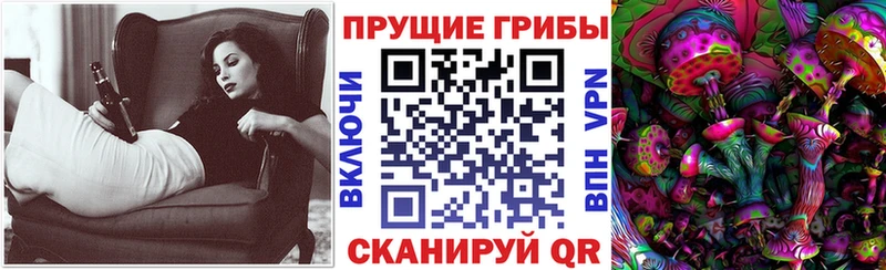 блэк спрут ссылки  где можно купить наркотик  Нерюнгри  Галлюциногенные грибы Psilocybe 